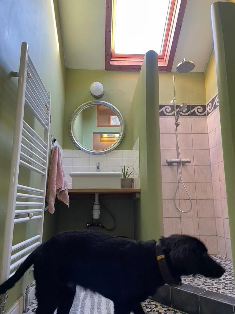 La Bruyere Du Coq Stables Konuk evi Sart-Dames-Avelines Dış mekan fotoğraf